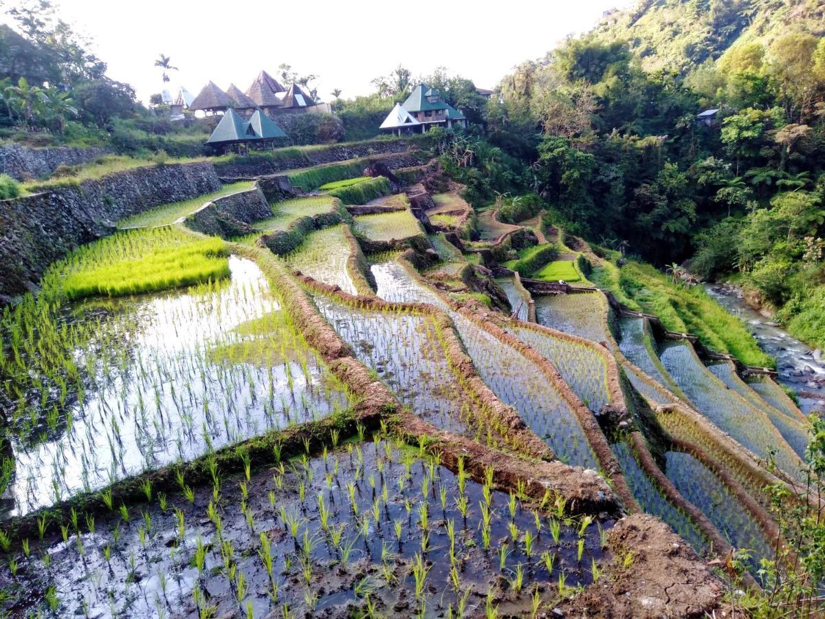 Bogah Lodge Banaue Exterior photo