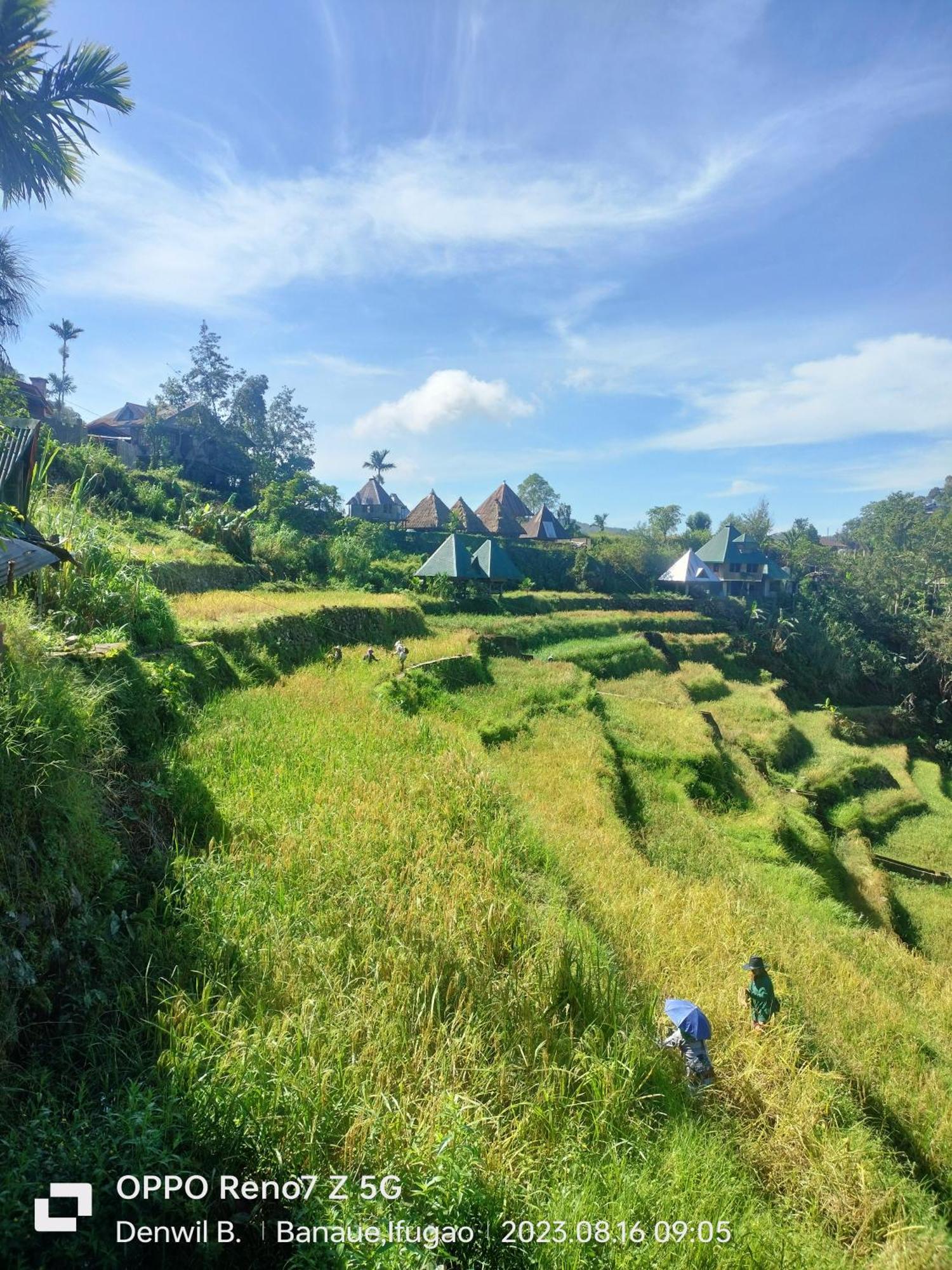 Bogah Lodge Banaue Exterior photo