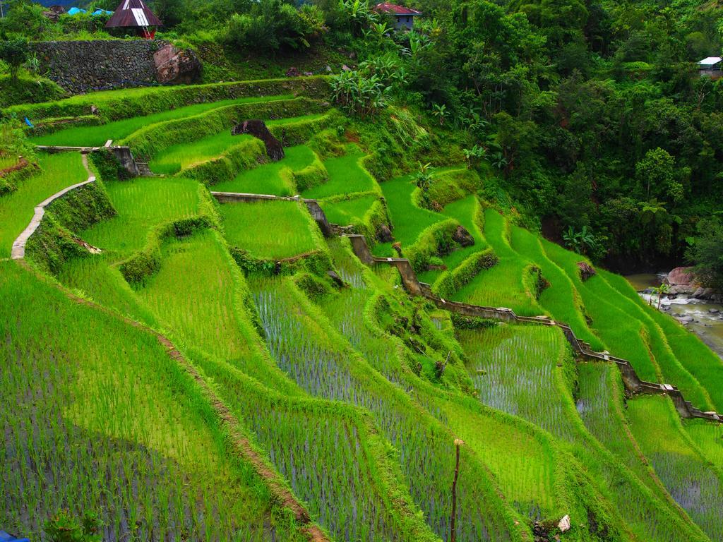 Bogah Lodge Banaue Exterior photo